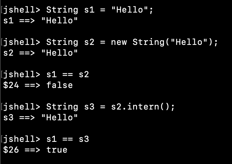 Java String Intern Method Example
