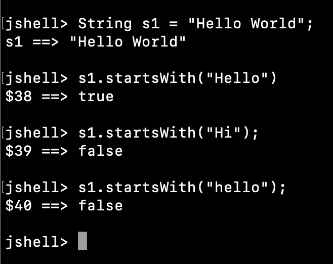 Java String StartsWith Example