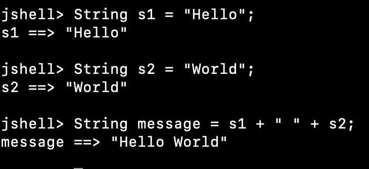 String Concatenation Using Plus Operator