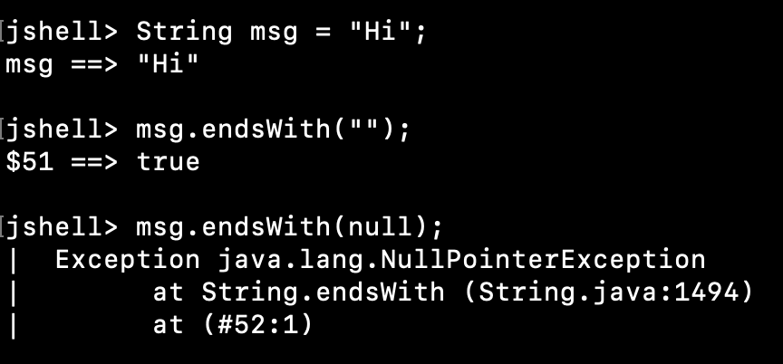 String EndsWith Null Empty String